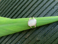Australian Coober Pedy Bolder opal. Pale wash  Stirling silver ring. Size Q